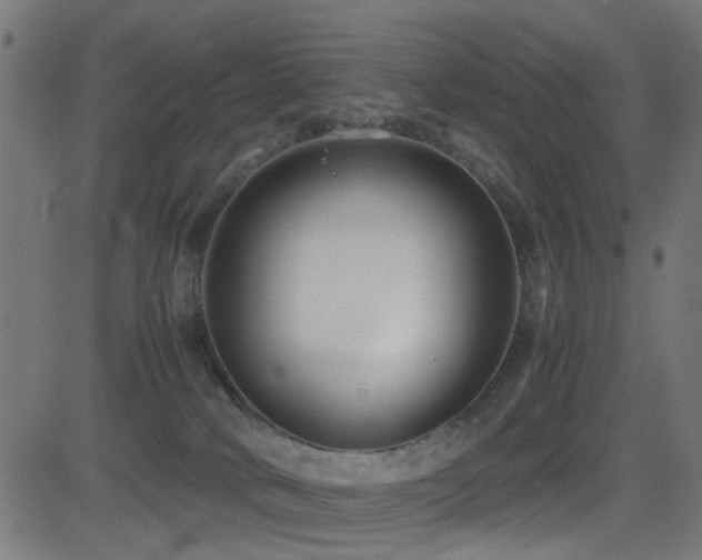 X0000081450034200701121243