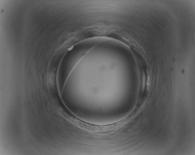 X0000081450035200701121243