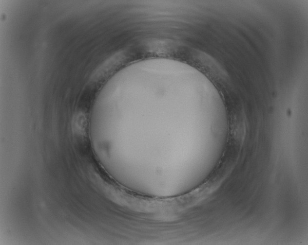 X0000081450036200701121243