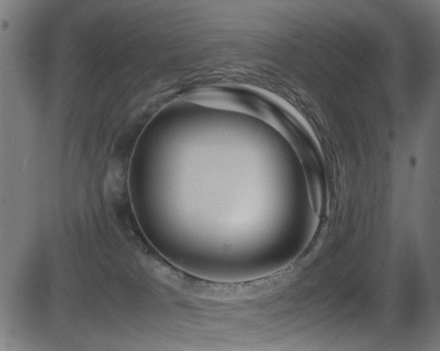 X0000081450037200701121243