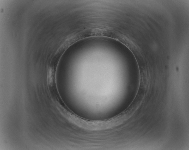 X0000081450038200701121243