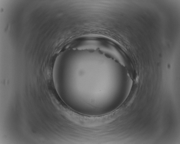 X0000081450039200701121243