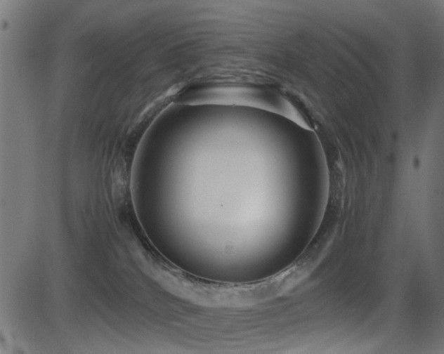 X0000081450040200701121243