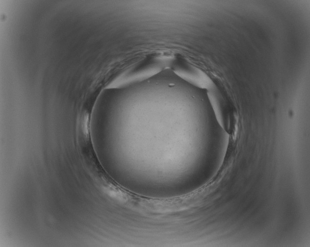 X0000081450041200701121243