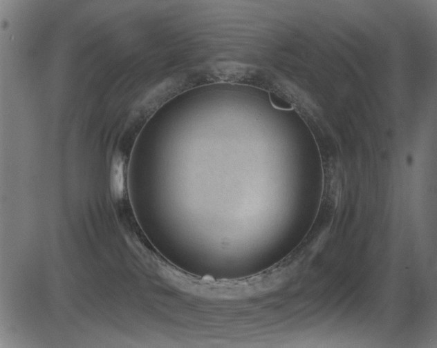 X0000081450042200701121243