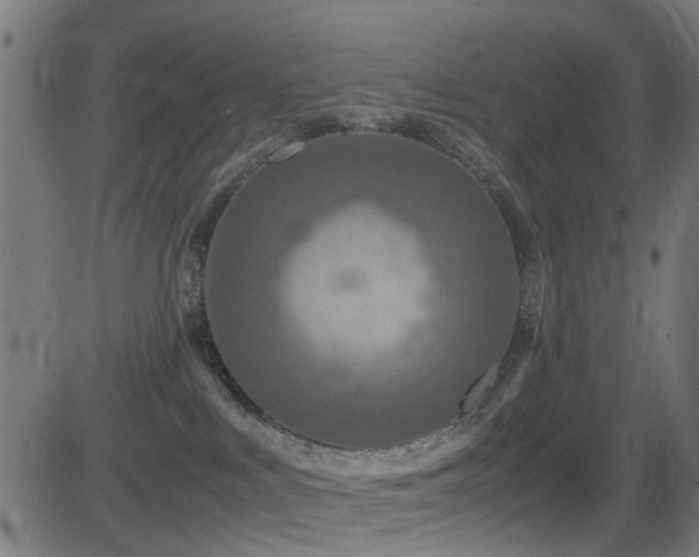 X0000081450043200701121243