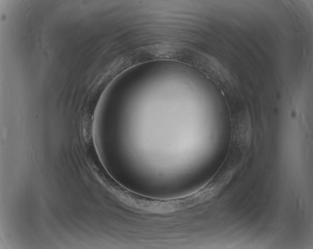 X0000081450044200701121243