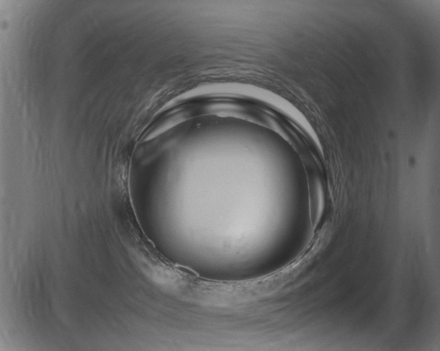 X0000081450045200701121243