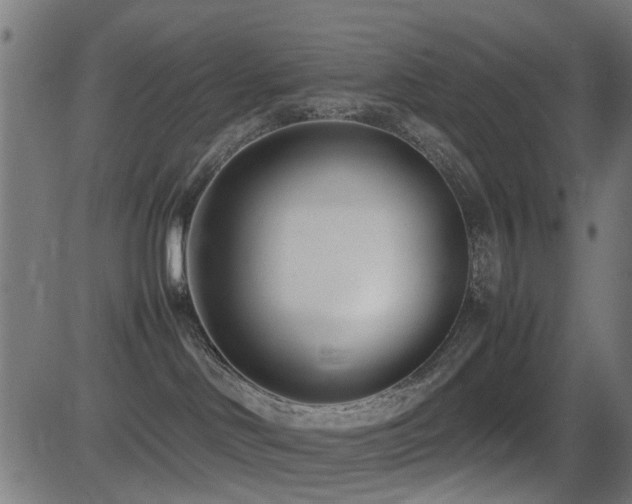 X0000081450046200701121243