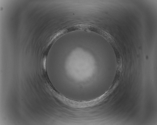 X0000081450047200701121243