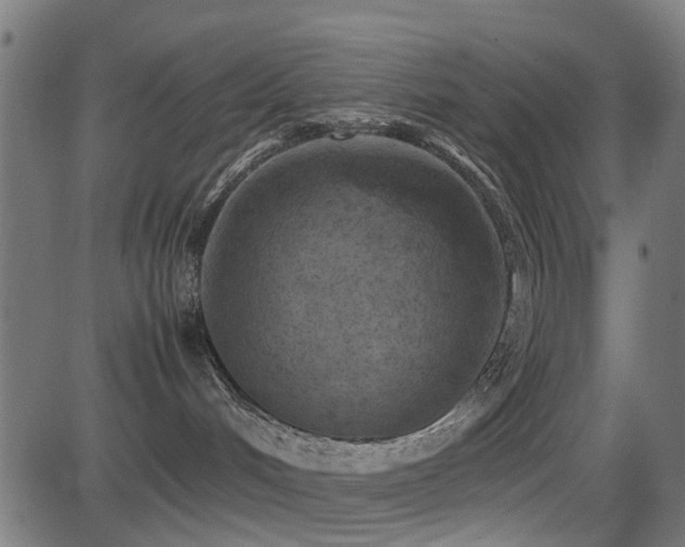 X0000081450048200701121243