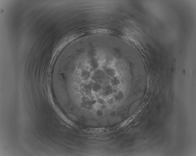 X0000081450049200701121242