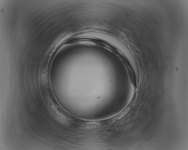 X0000081450050200701121242