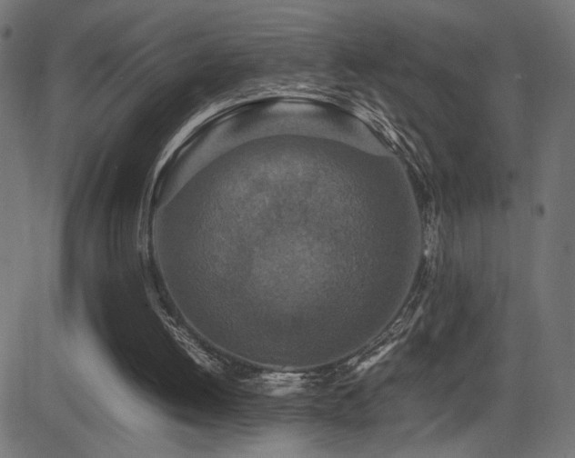 X0000081450052200701121242