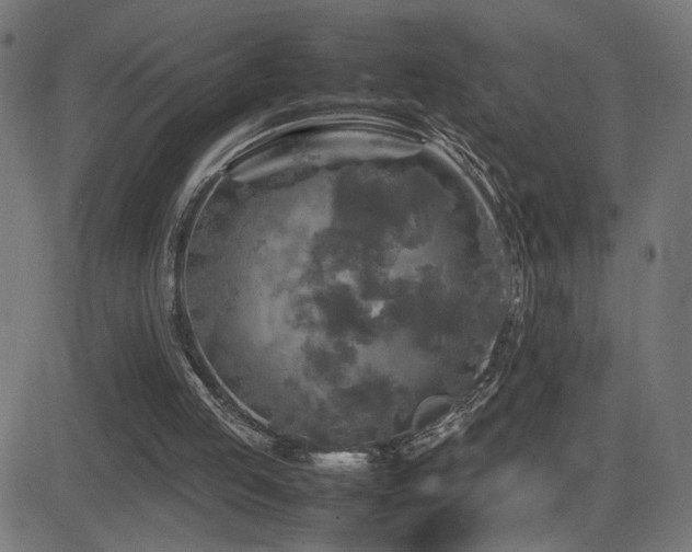 X0000081450053200701121242