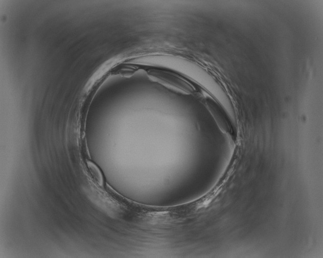 X0000081450054200701121242