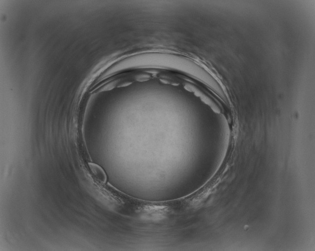 X0000081450055200701121242