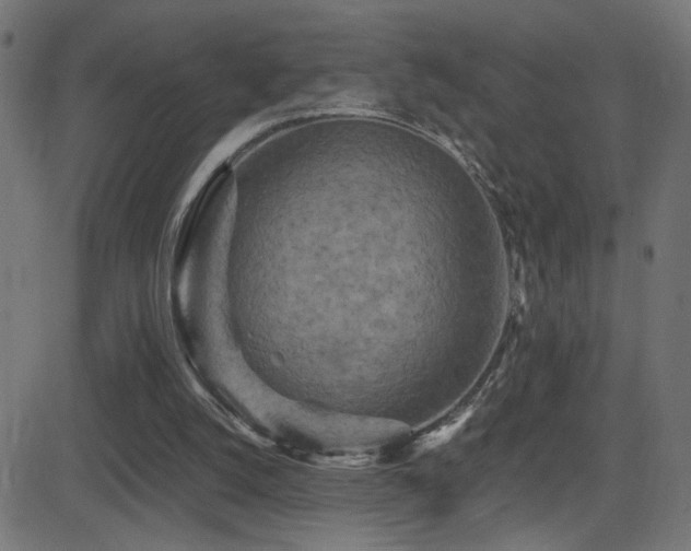 X0000081450056200701121242