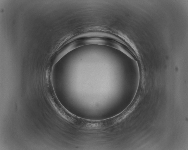 X0000081450057200701121242