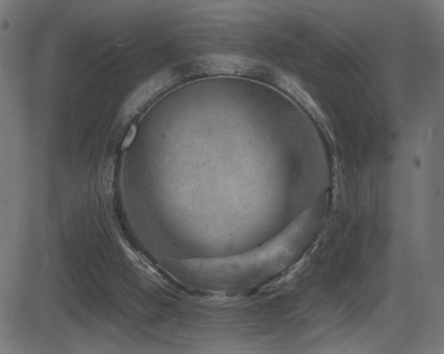 X0000081450058200701121242