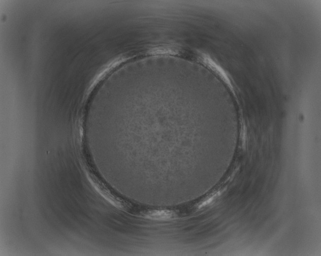 X0000081450059200701121242