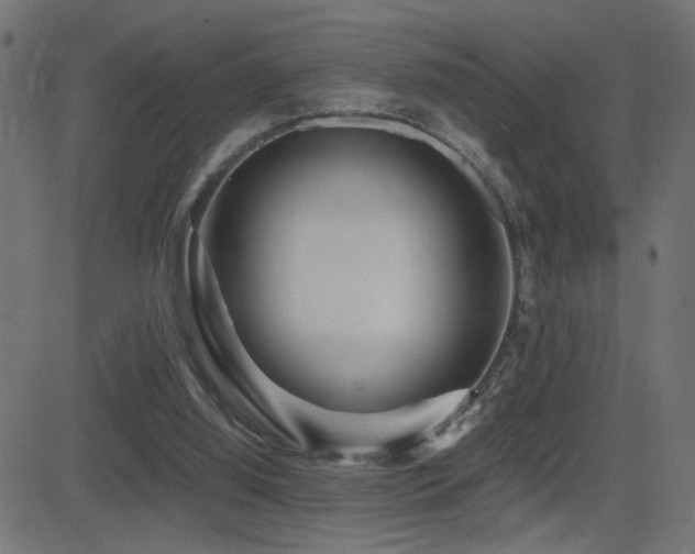 X0000081450060200701121242