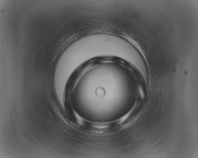 X0000081450061200701121242