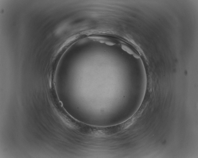 X0000081450062200701121242