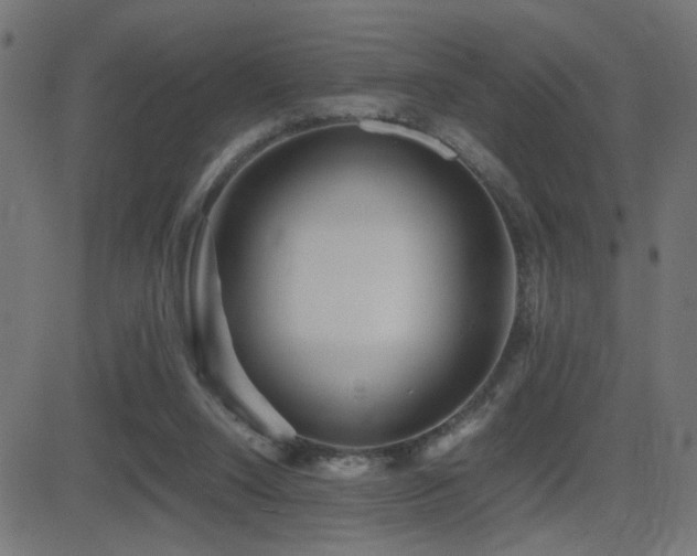 X0000081450064200701121242