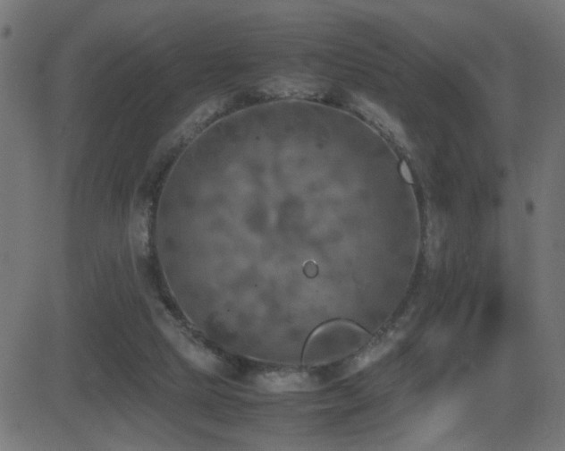 X0000081450065200701121242