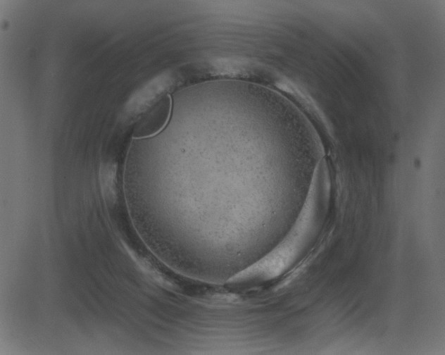 X0000081450066200701121242