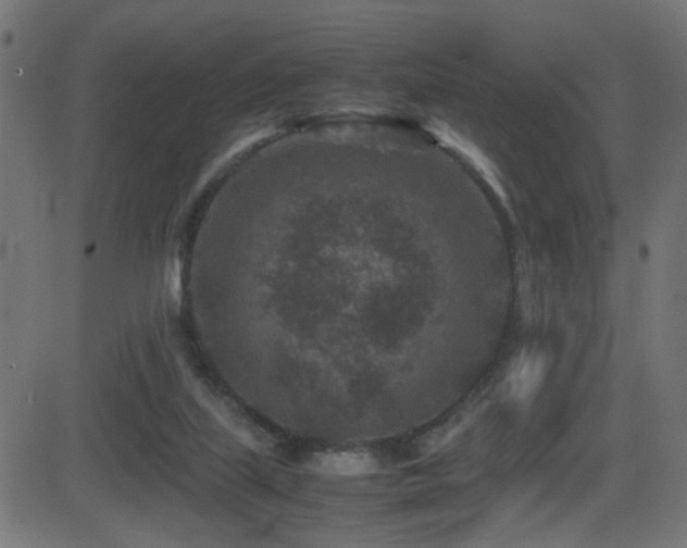 X0000081450067200701121242