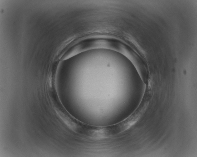 X0000081450068200701121242