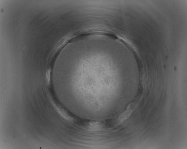 X0000081450070200701121242