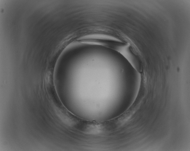 X0000081450071200701121242