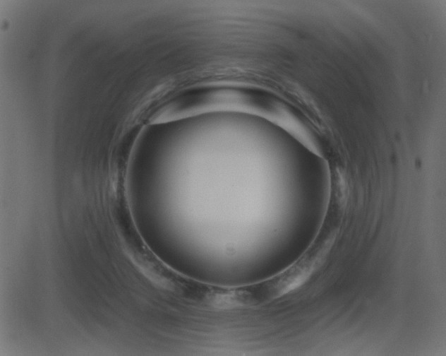 X0000081450072200701121243