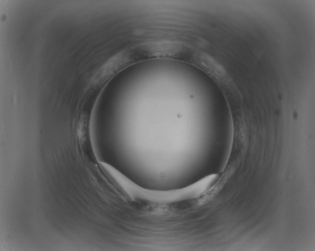 X0000081450074200701121243