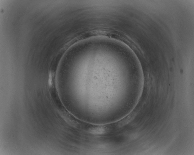 X0000081450075200701121243