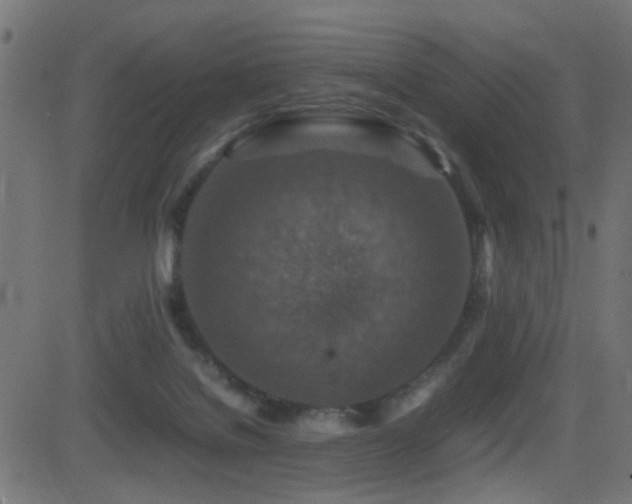 X0000081450076200701121243