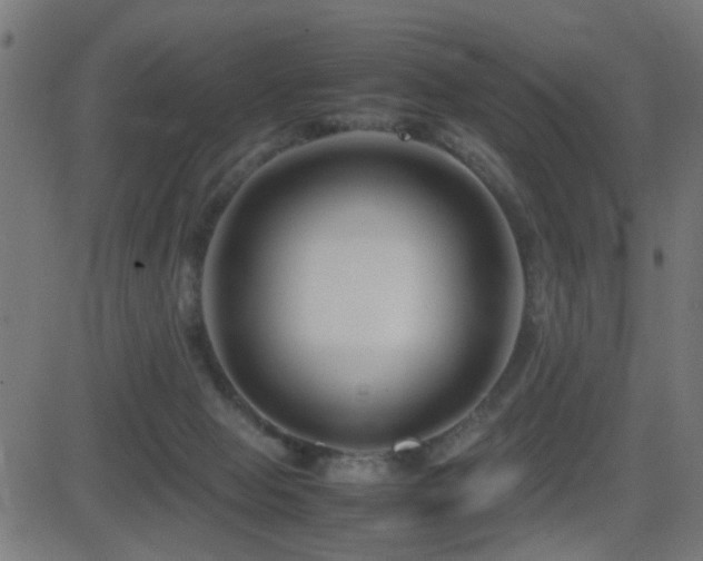 X0000081450077200701121243