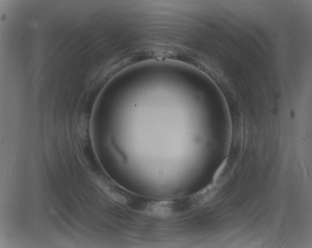 X0000081450078200701121243