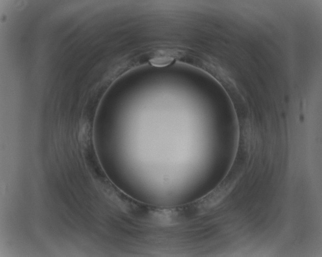 X0000081450079200701121243