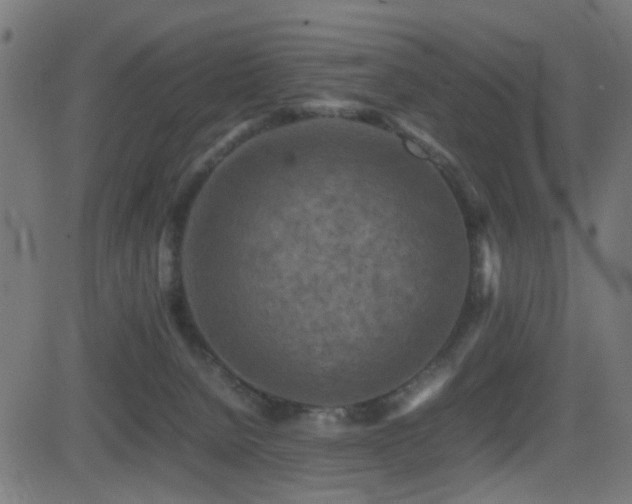 X0000081450080200701121243