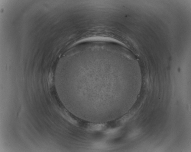 X0000081450081200701121243