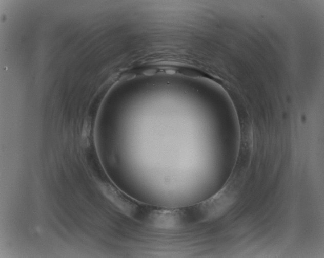 X0000081450082200701121243