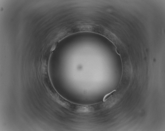 X0000081450083200701121243