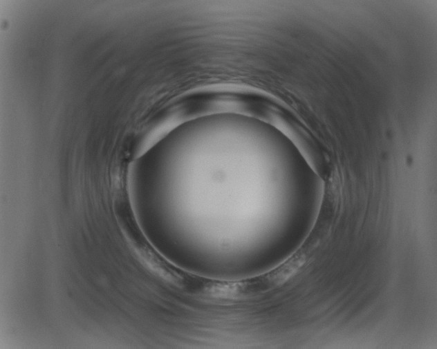 X0000081450084200701121243