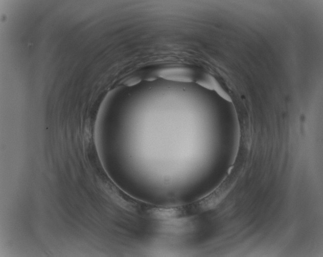 X0000081450085200701121243