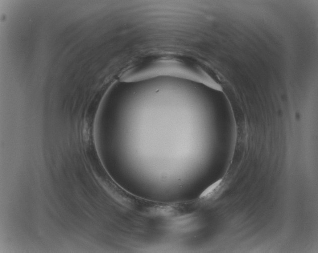 X0000081450086200701121243