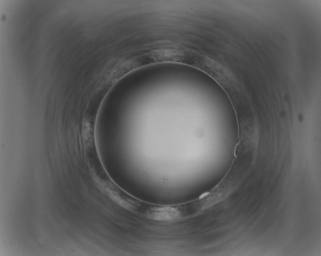 X0000081450087200701121243